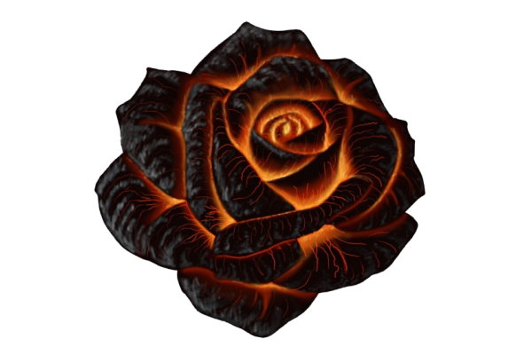 La rosa nel magma, di Nicola Argenti - Recensione