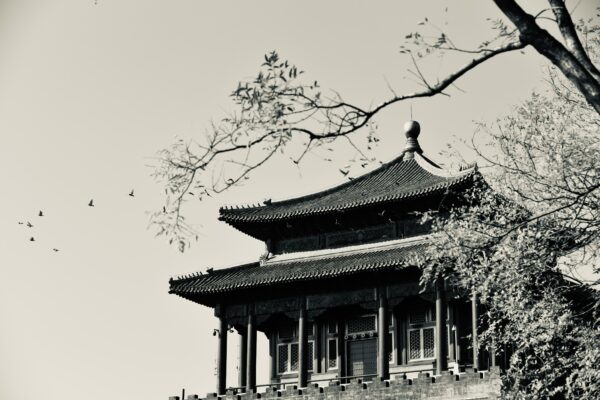 Nichilismo, evasione mistica e anarchia nella Cina del III secolo
